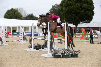  Danielle Westlake and Caramel Twist crowned the Pony Bronze League 148cm & Under Champions